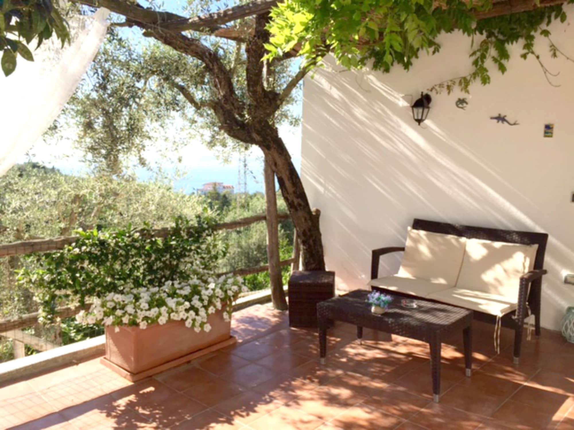Villa Carolina Sorrento Private Heated Pool And Sea View Kültér fotó