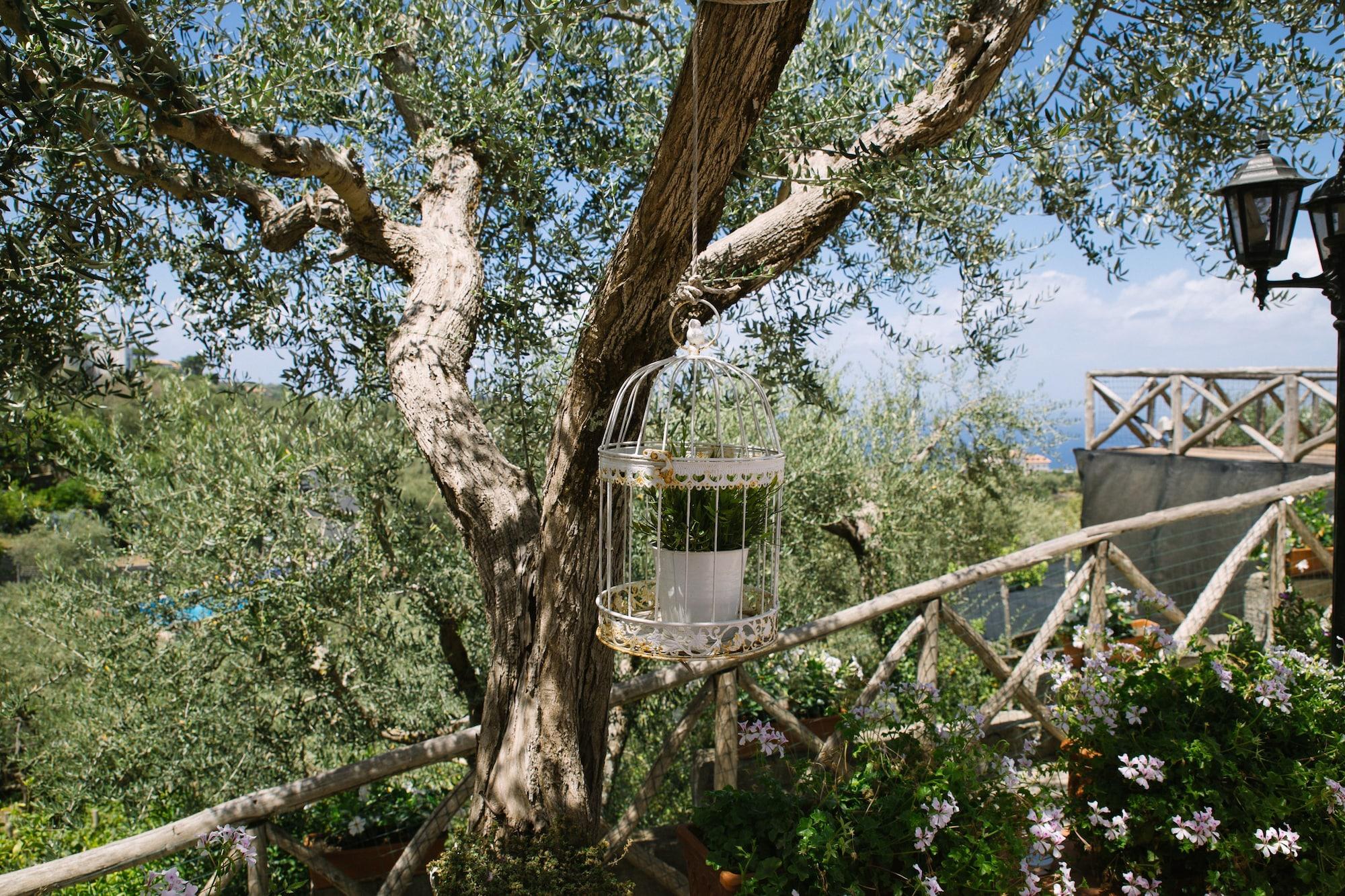 Villa Carolina Sorrento Private Heated Pool And Sea View Kültér fotó
